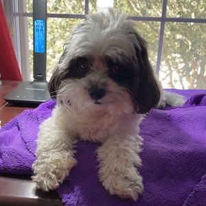 Meet your Posher, Cindy